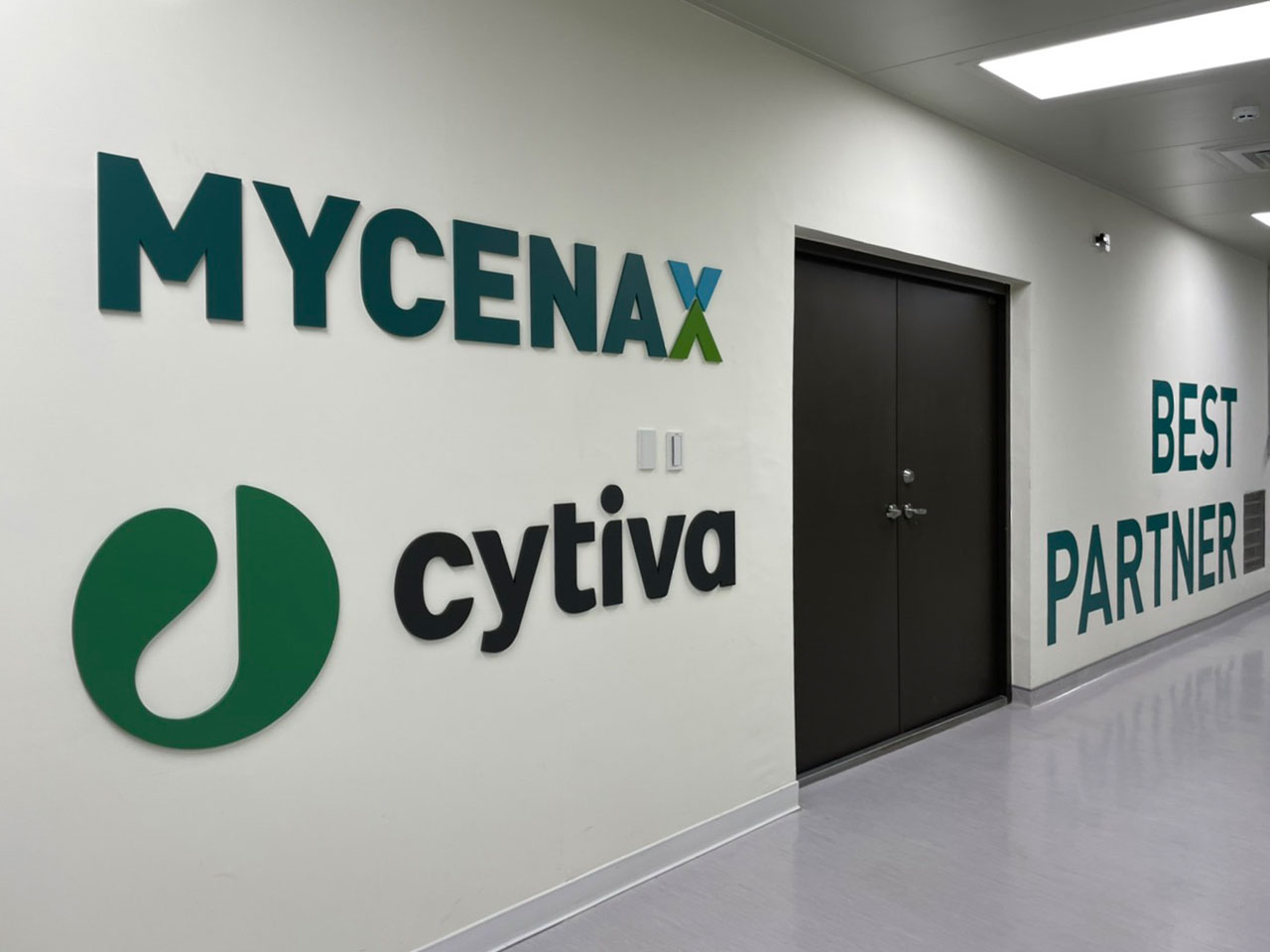 MYCENAX4