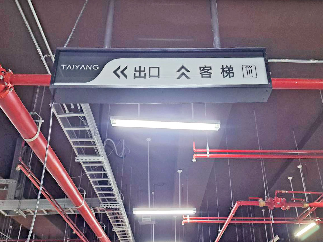TaiyangScience6